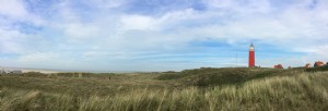 Texel