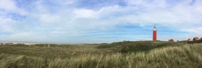 Texel