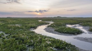 schiermonnikoog-2776925