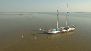 Dag voorjaar, hallo zomer