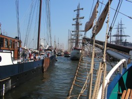 Sail Amsterdam 2015