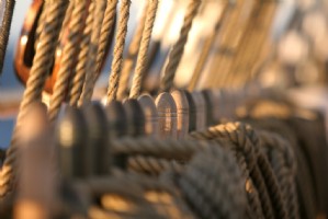 All you need to know - scheepstermen