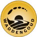 Waddengoud