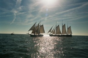Brandarisrace weekendtocht 2025 - Zeven Wouden